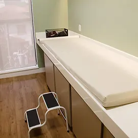 consulta endocrinologista BH